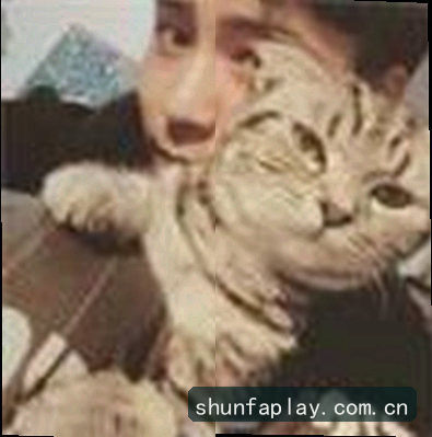 李婷